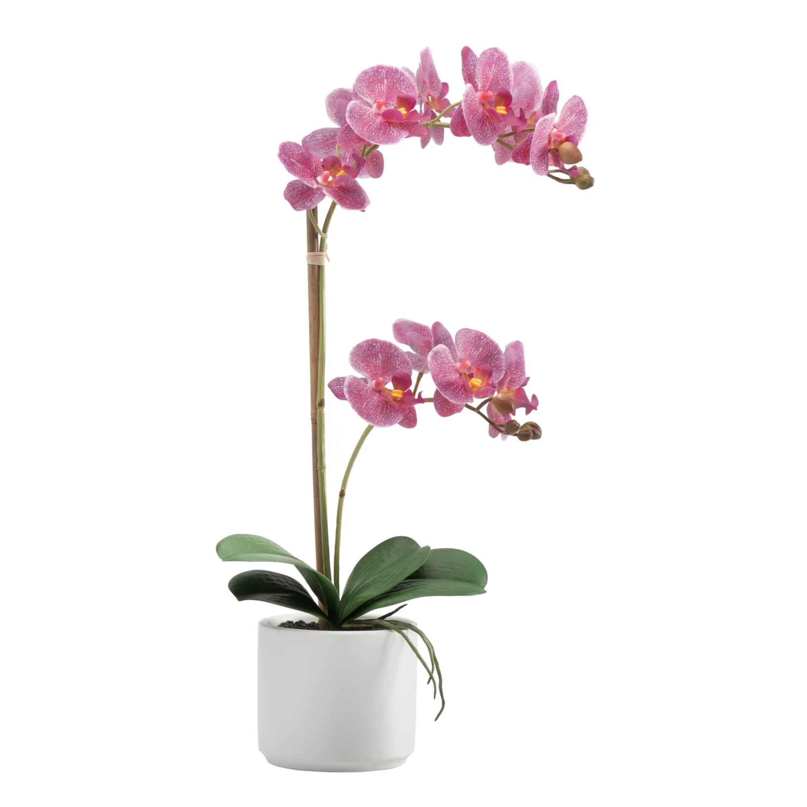 Torre & Tagus Faux Double Stem Pink Orchid - 21"h