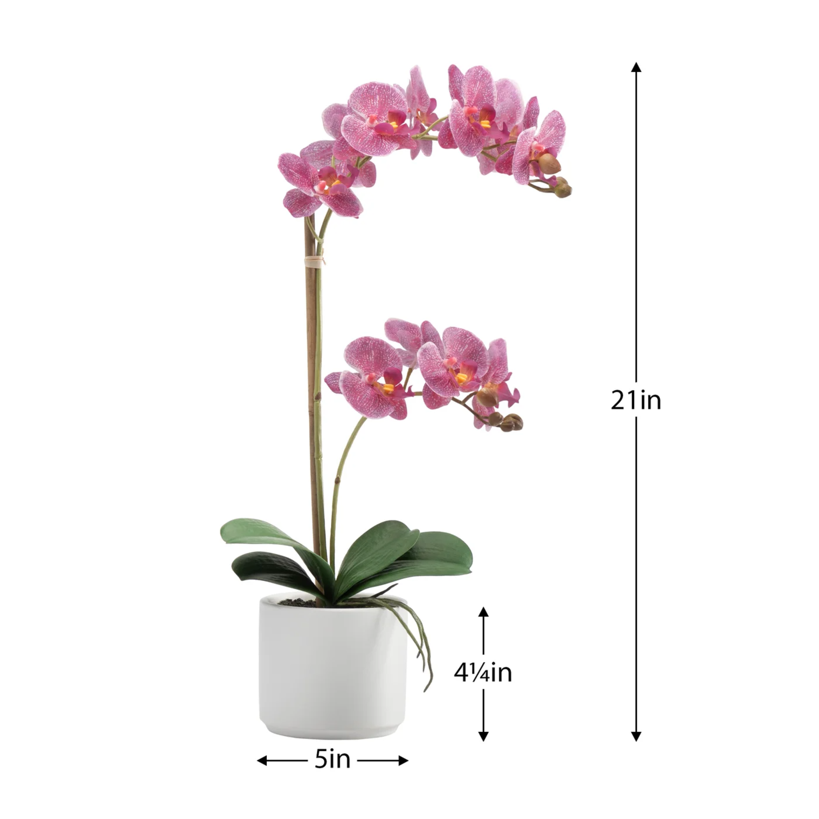 Torre & Tagus Faux Double Stem Pink Orchid - 21"h