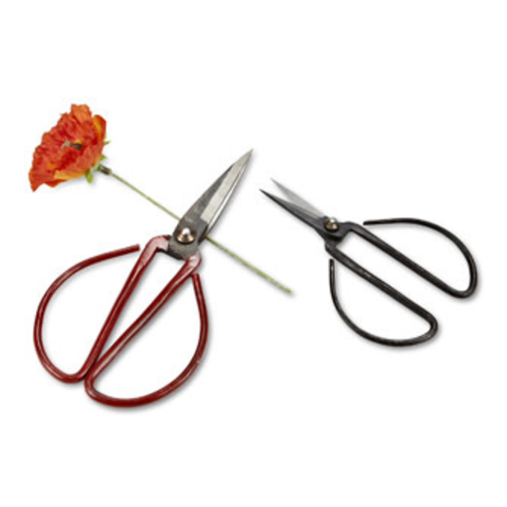 Abbott Flower Shears - 7"