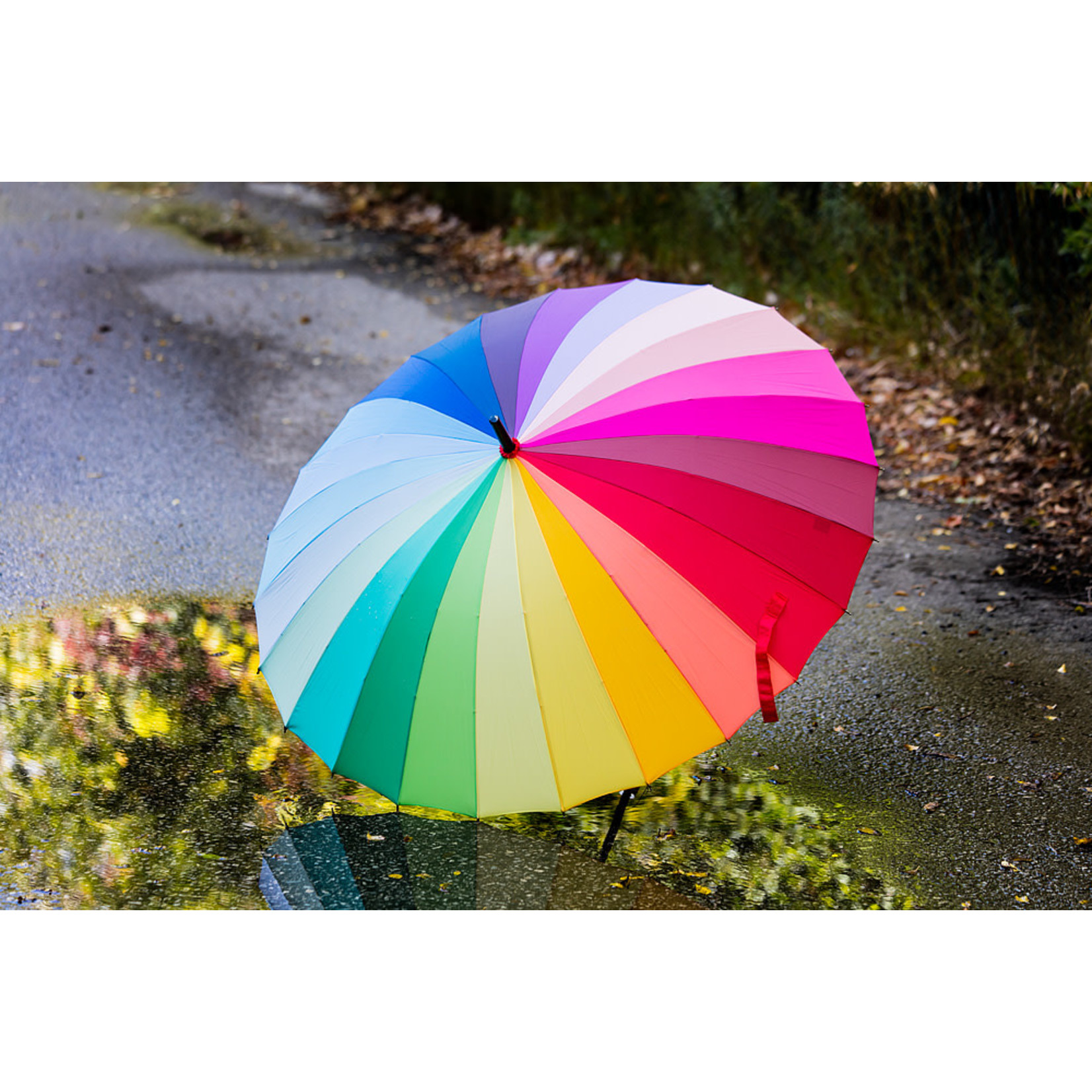 Abbott Colour Wheel Umbrella - 40"D