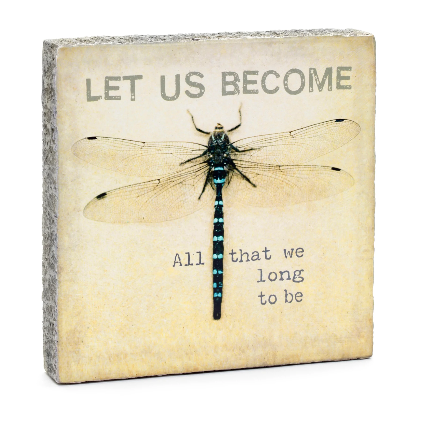 Cedar Mountain Studios Let Us Become Dragonfly Little Gem