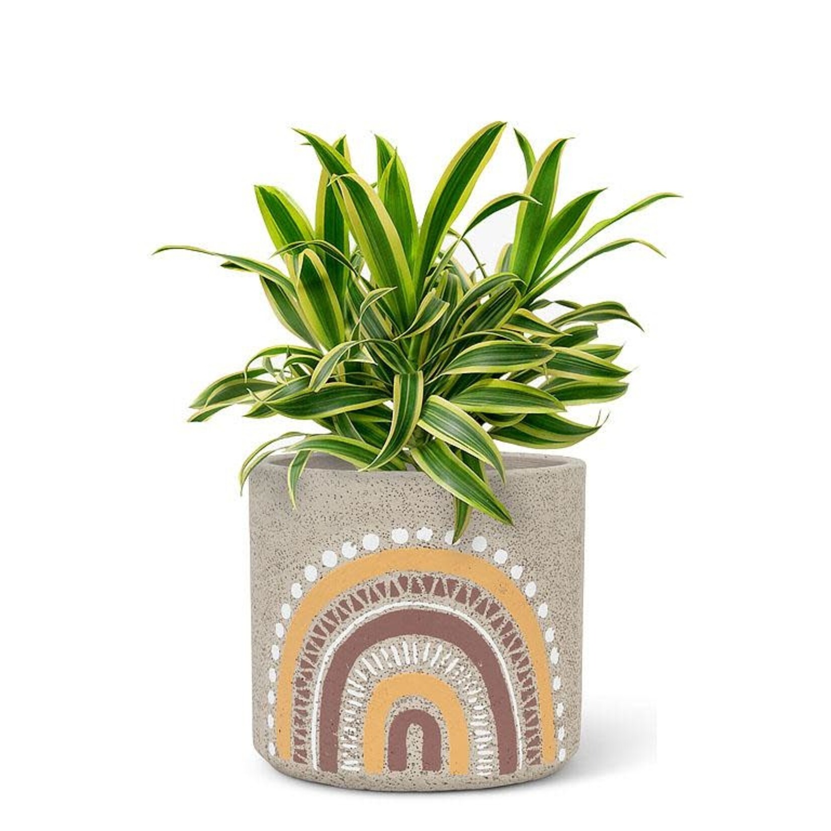 Abbott Boho Rainbow Pot - 4"