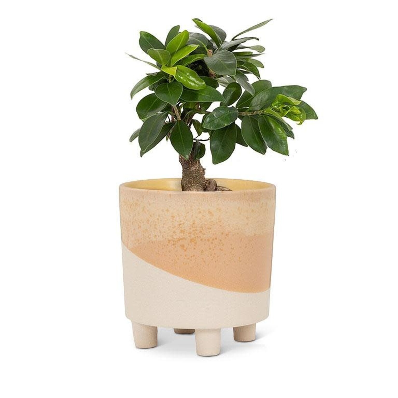 Abbott Abstract Footed Pot - 5"
