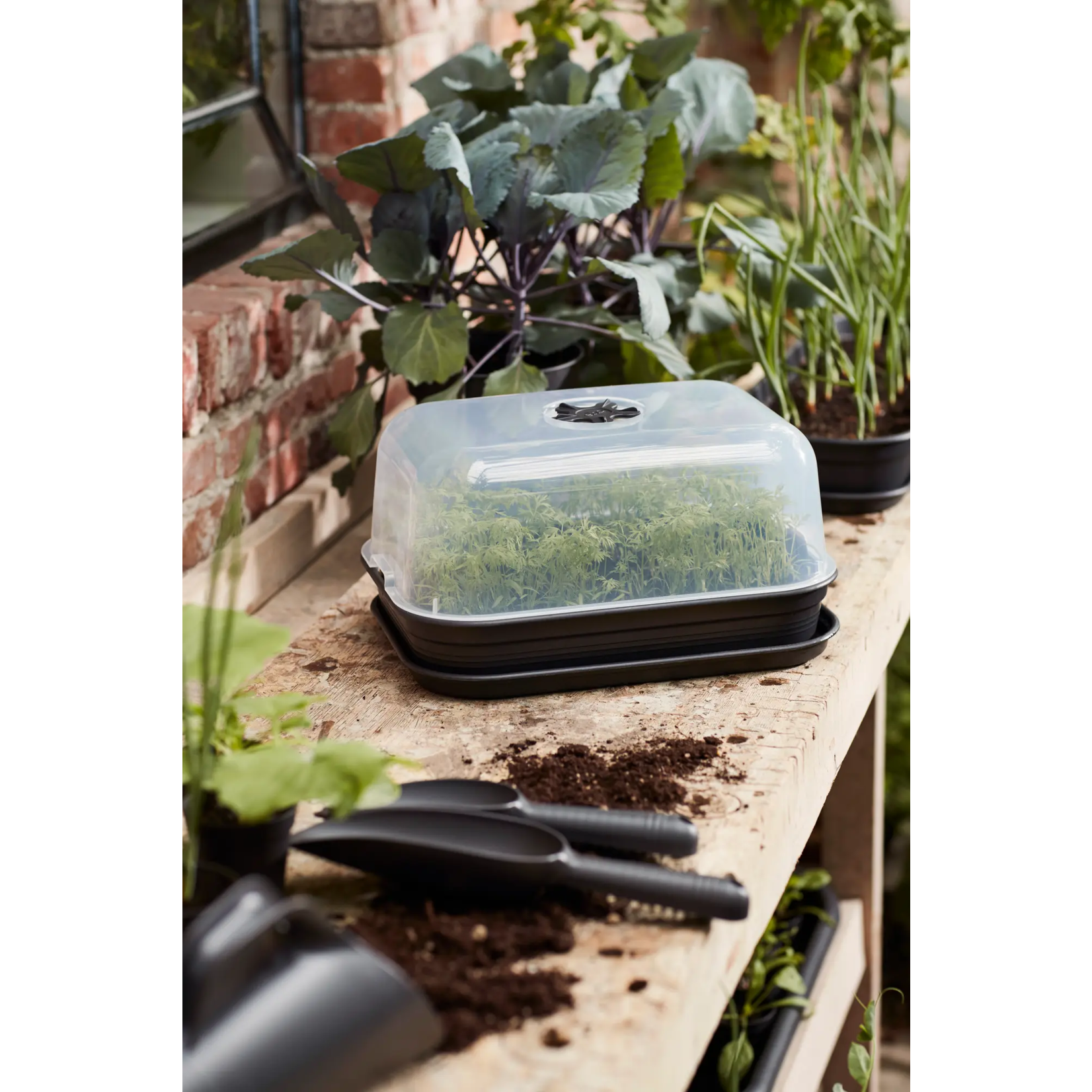 Elho Green Basics All in 1  Grow Kit