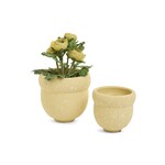 Pine Centre Yellow Speckled Pot - 4.5"