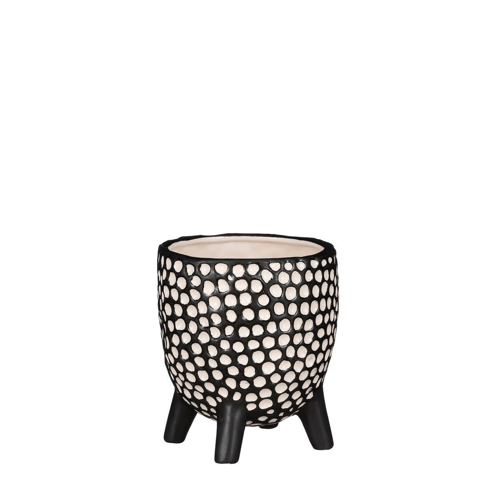 Modus Lifestyle Black & White Dotted Footed Pot - 6"