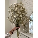 By Two Fields Preserved Baby's Breath Bundle
