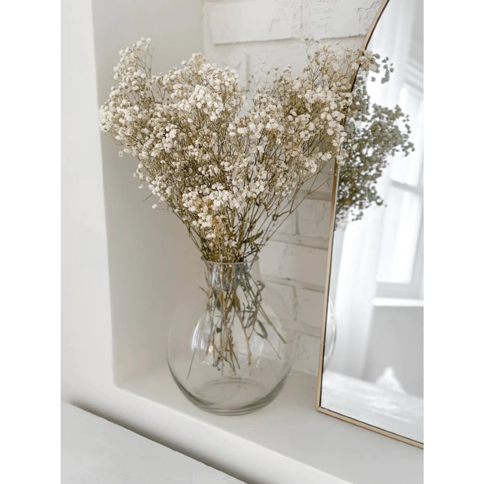 By Two Fields Preserved Baby's Breath Bundle