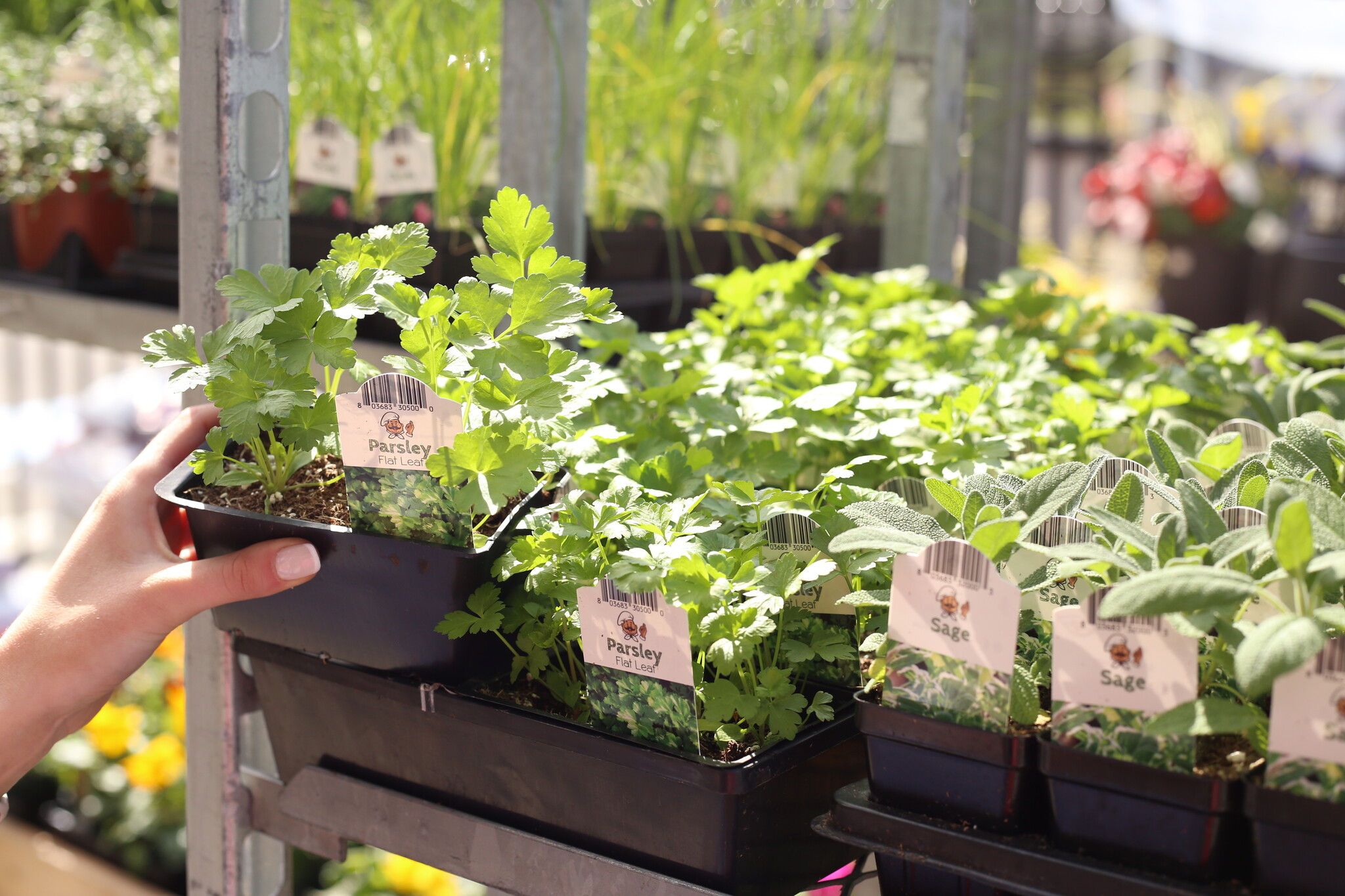 Grow Bag Gardening: The Revolutionary Way to Grow Bountiful