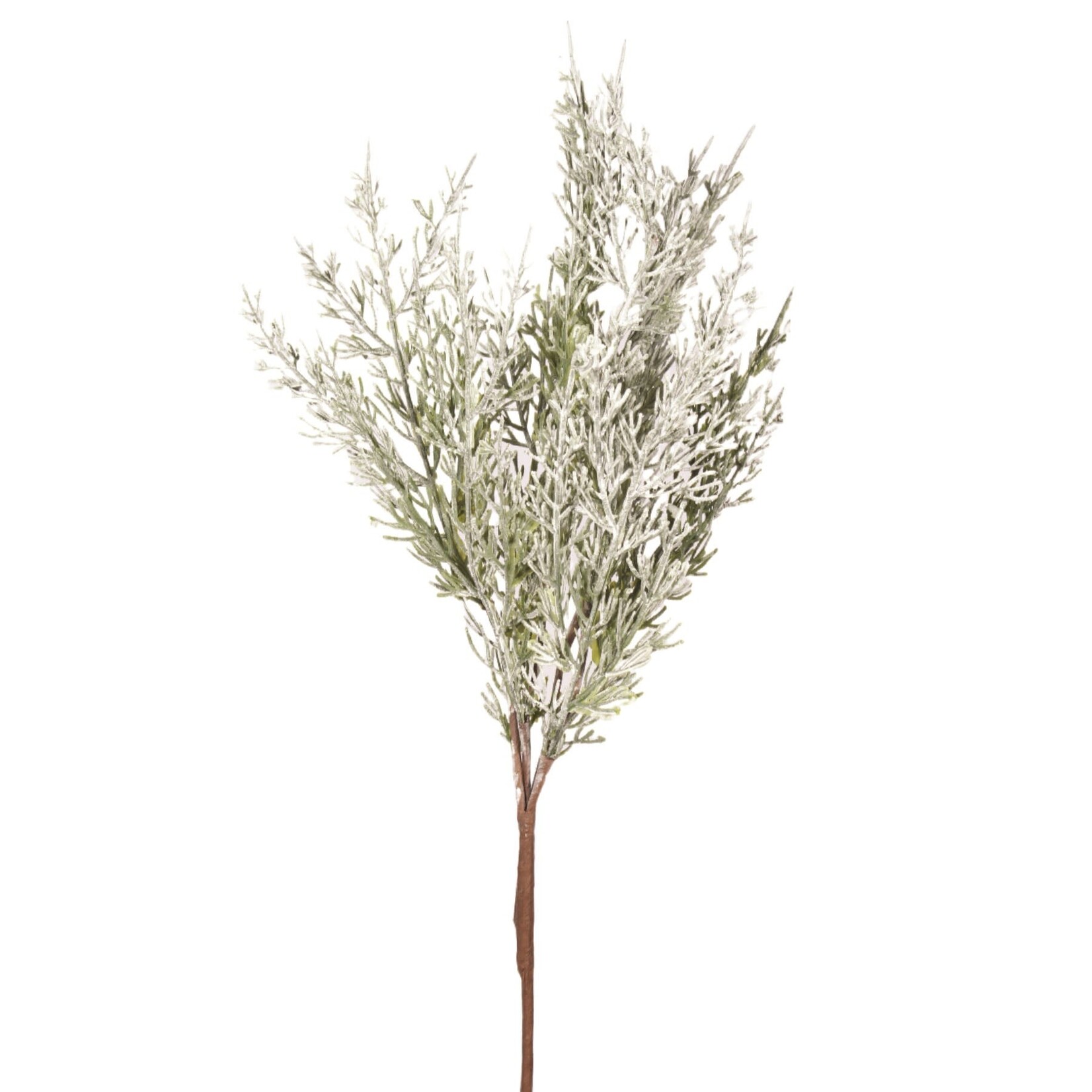 Rosemary Thyme Cedar Branch