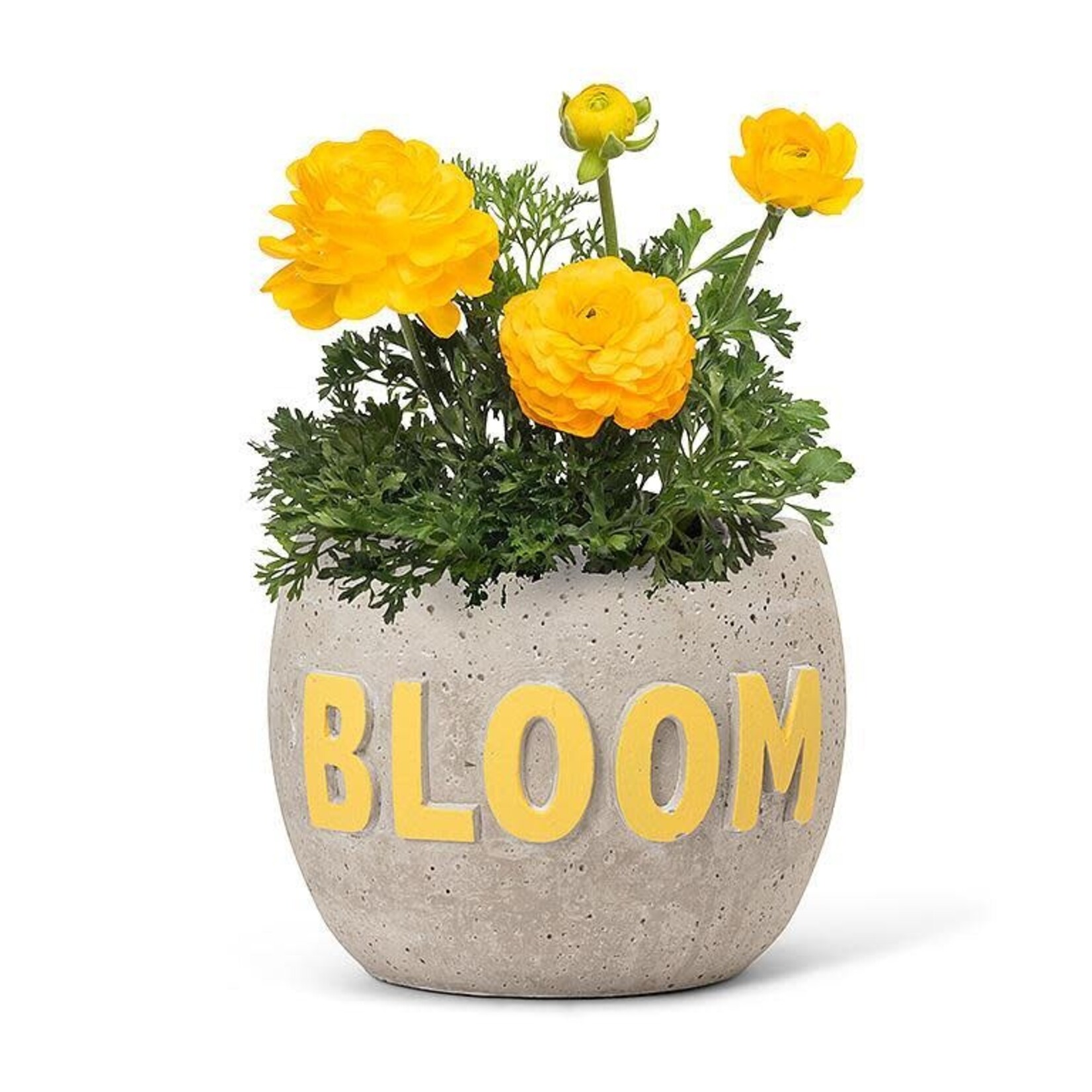 Abbott Bloom Pot - 4"