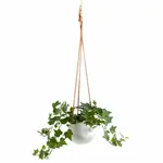 Torre & Tagus Leather Hanging White Ceramic Pot