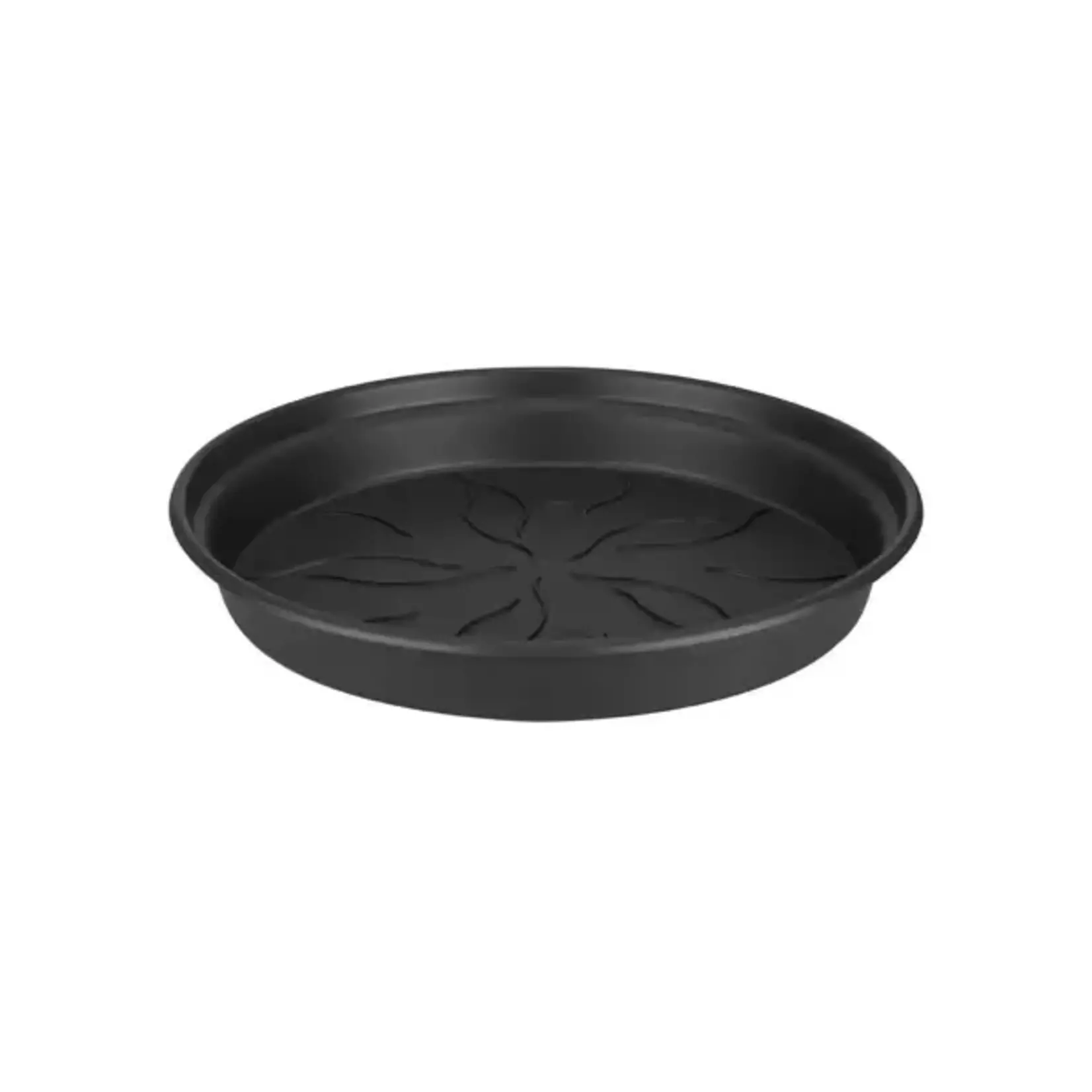 Modus Lifestyle Green Basics Saucer - Black - 4"