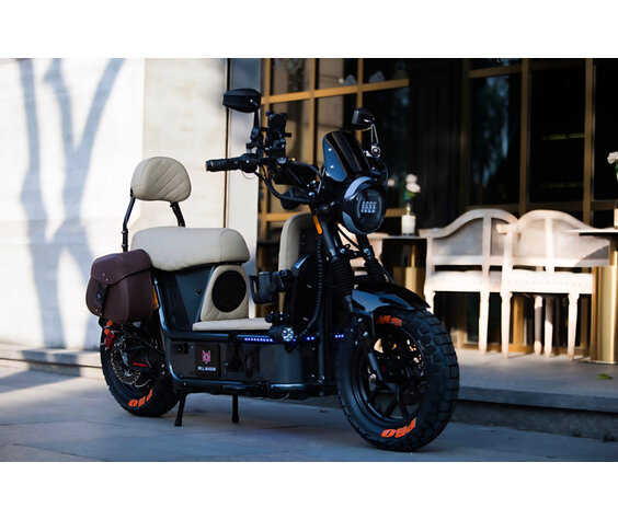 Will Mason CRUISER C2 PRO X (Contact Store For Customization)