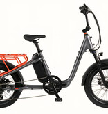 Retrospec Roo Rev XL Cargo