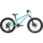 Norco Fluid HT 20.2