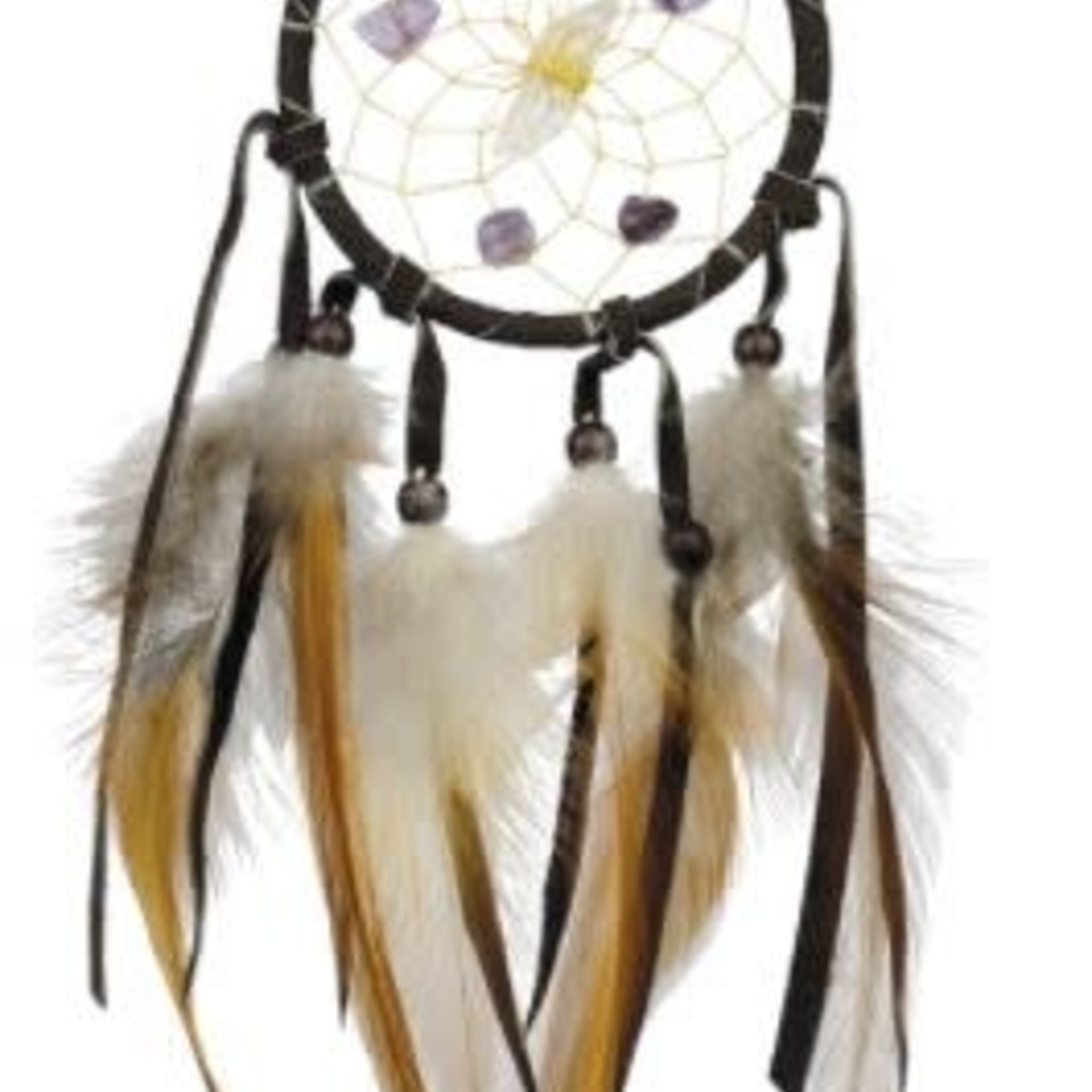 Monague Native Vision Seeker Dream Catcher