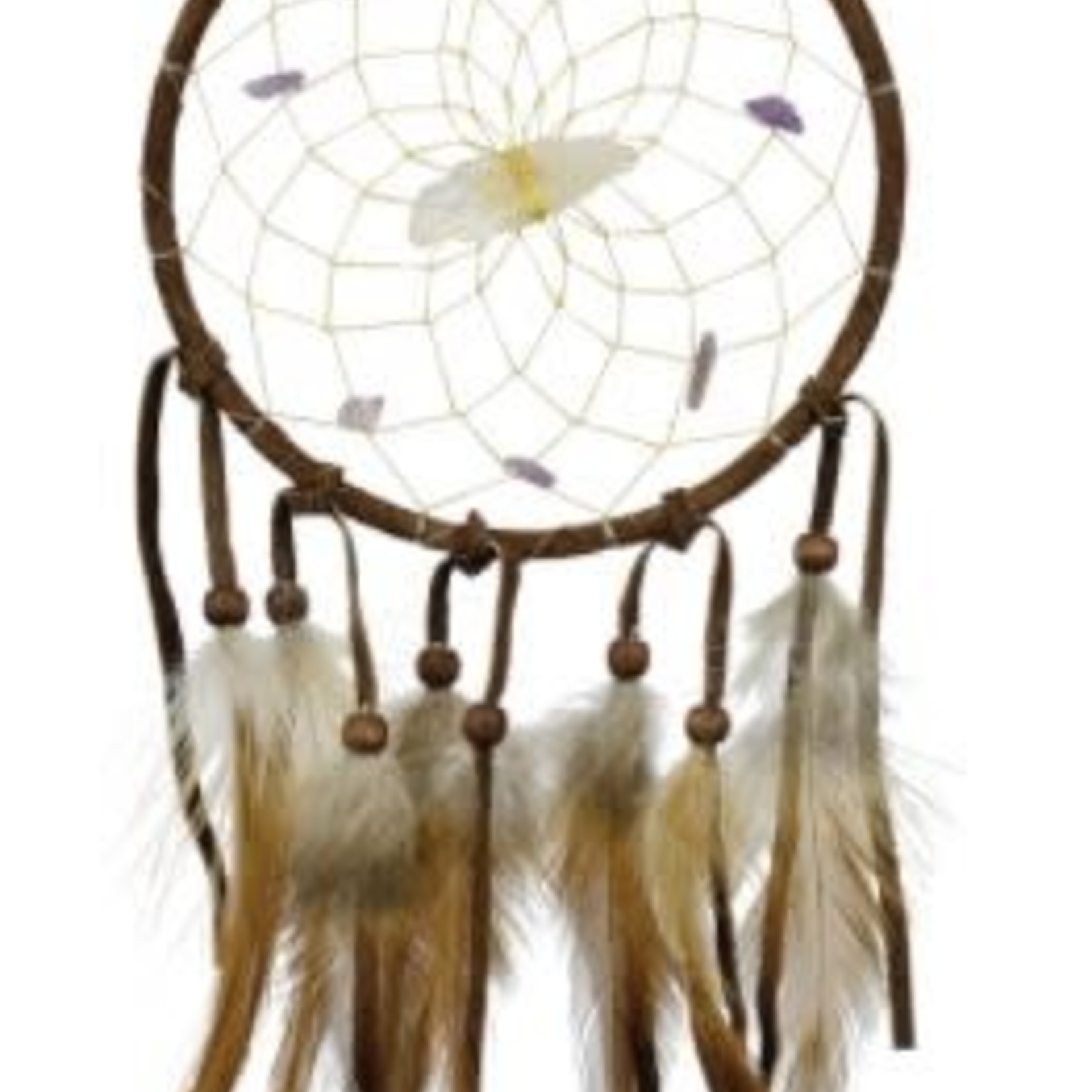 Monague Native Vision Seeker Dream Catcher