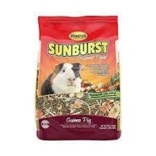 Higgins Hig Guinea Pig Sunburst 3#