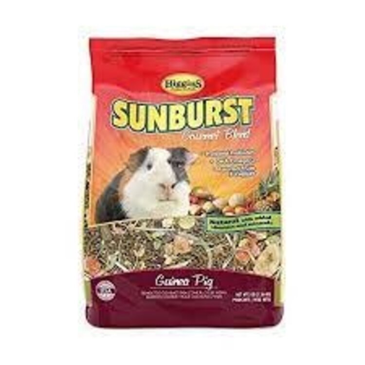 Higgins Hig Guinea Pig Sunburst 3#