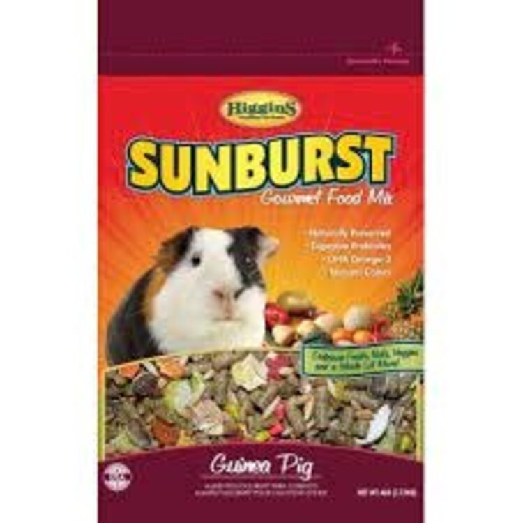 Higgins Hig Sunburst Guinea Pig 6#