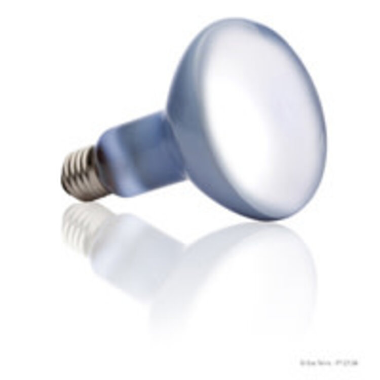 Hagen ExoTerra Daylight Basking Spot Lamp 150W