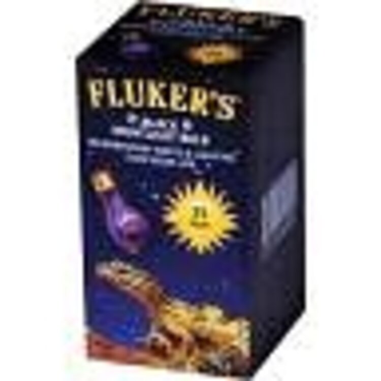 Flukers Fluker Blk Nightlight 75Watt