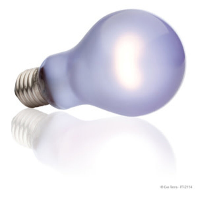 Exo Terra Exo Terra Daytime Heat Lamp 150W