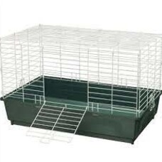 KayTee SPET MY FIRST HOME LG ASST