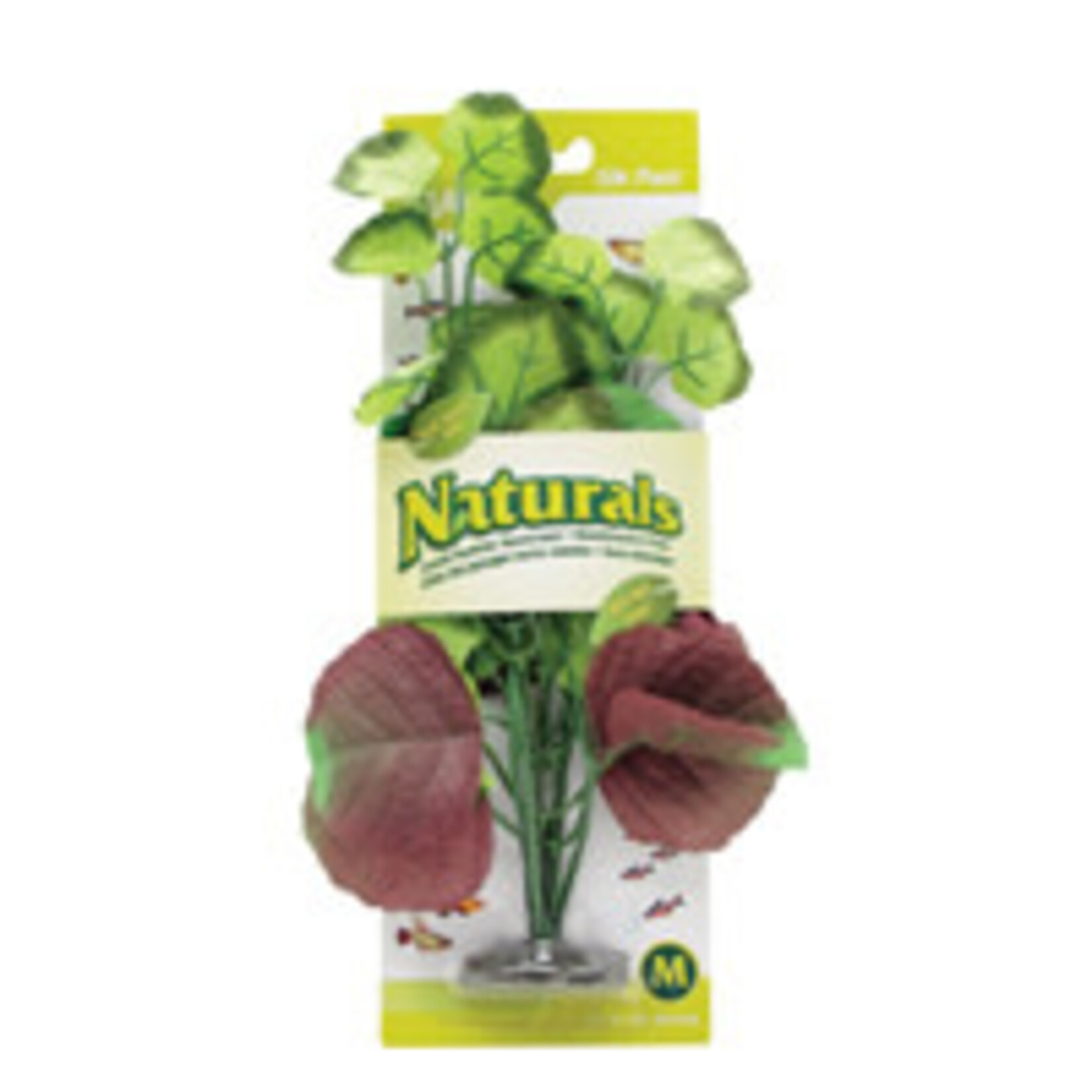 Marina Ma Ntrl Pennywort Plant Md