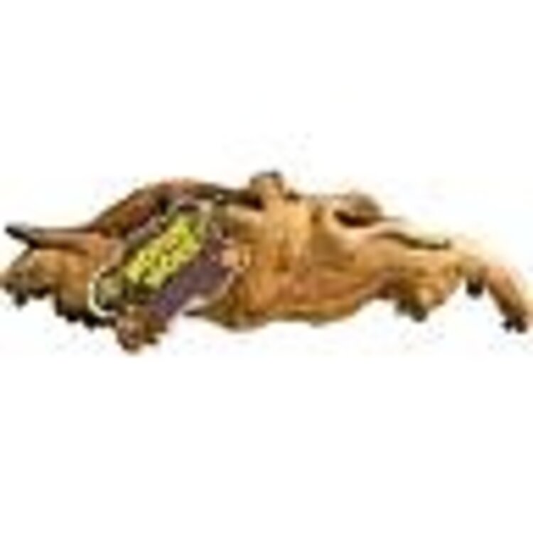 ZOO MED MOPANI WOOD LG-16-18 IN