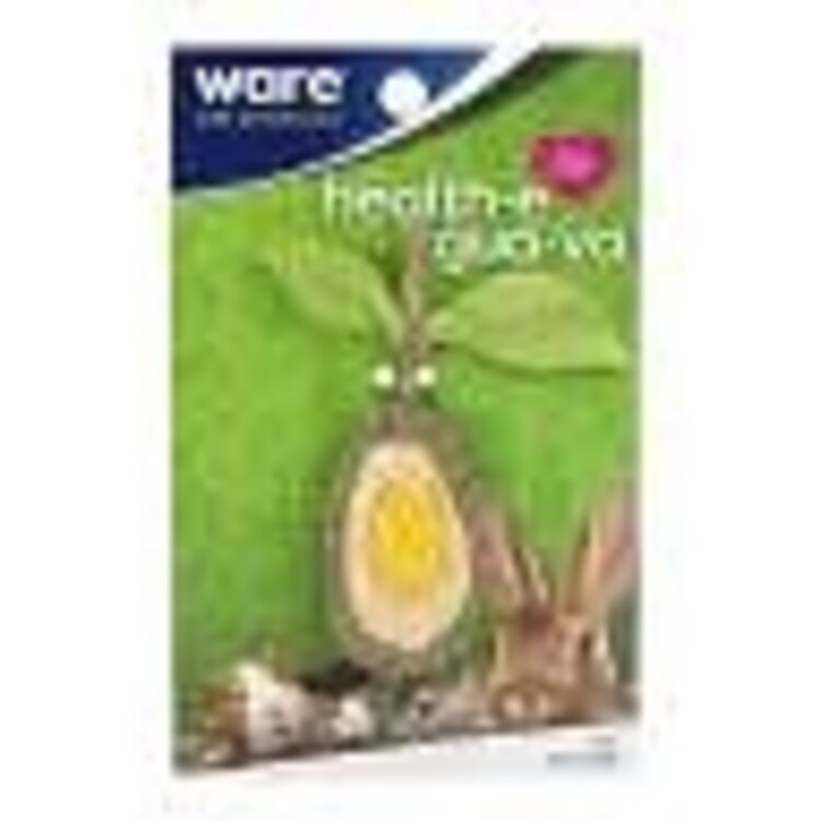 OURPETS COMPANY HEALTH-E GUA-VA SMALL ANIMAL CHEW