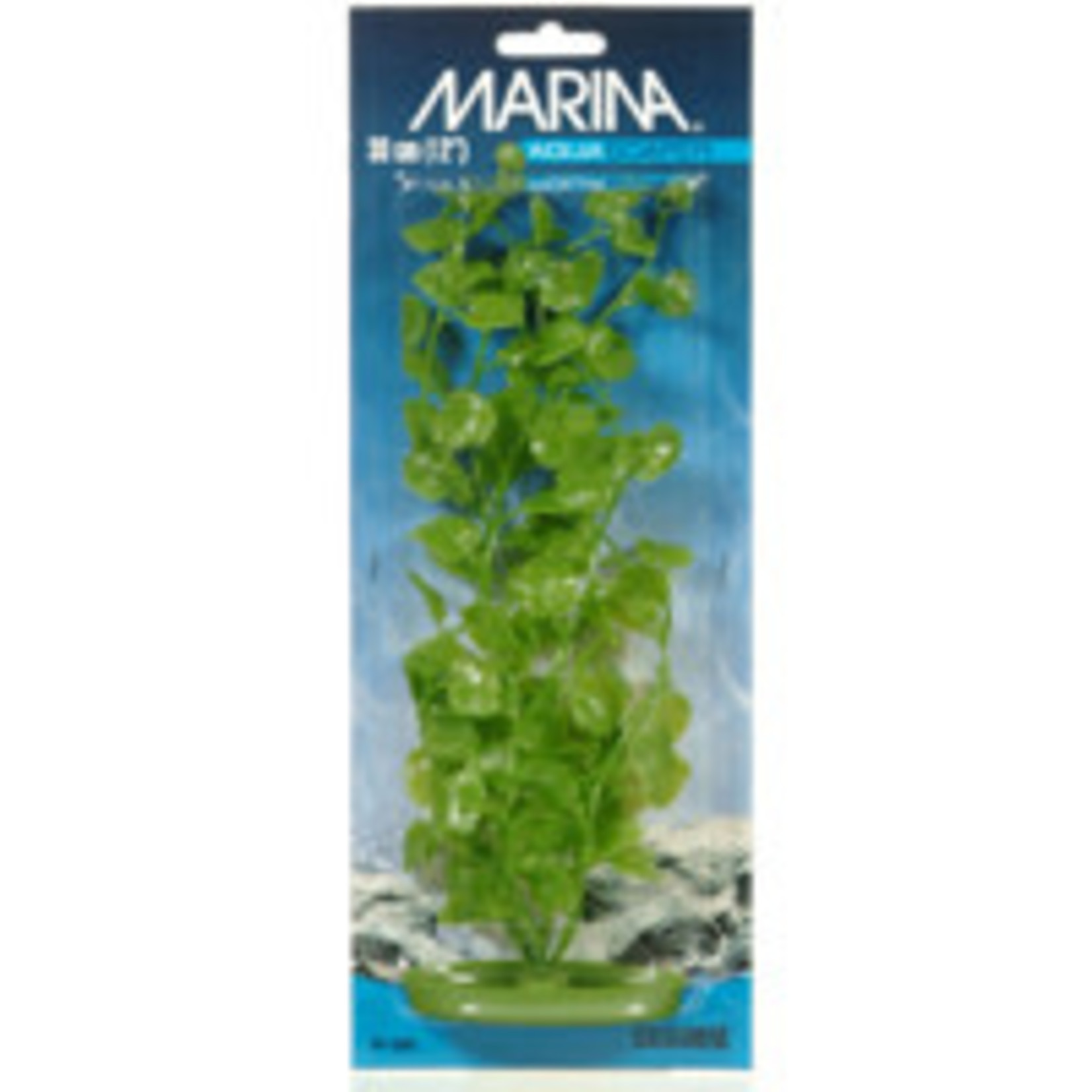 Marina HAG 12 CARDAMINE