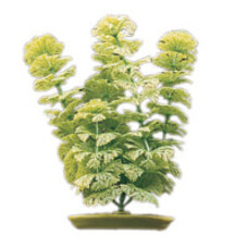 Marina HAG 5 AMBULIA