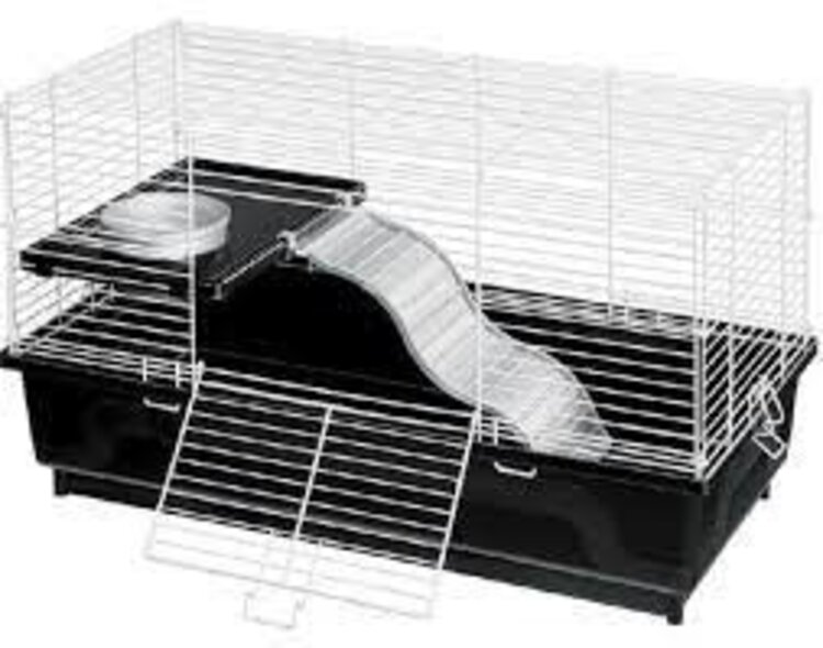 KayTee MFH PET RAT/SA HOME 24X12     1