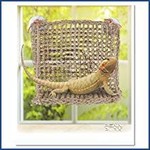 Penn-plax PEN LIZARD LNGR WNDOW 14X11