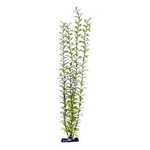 Penn-plax PP plant 22”Blooming Ludwgia