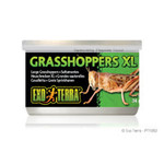 Exo Terra Exo Terra Grasshoppers XL