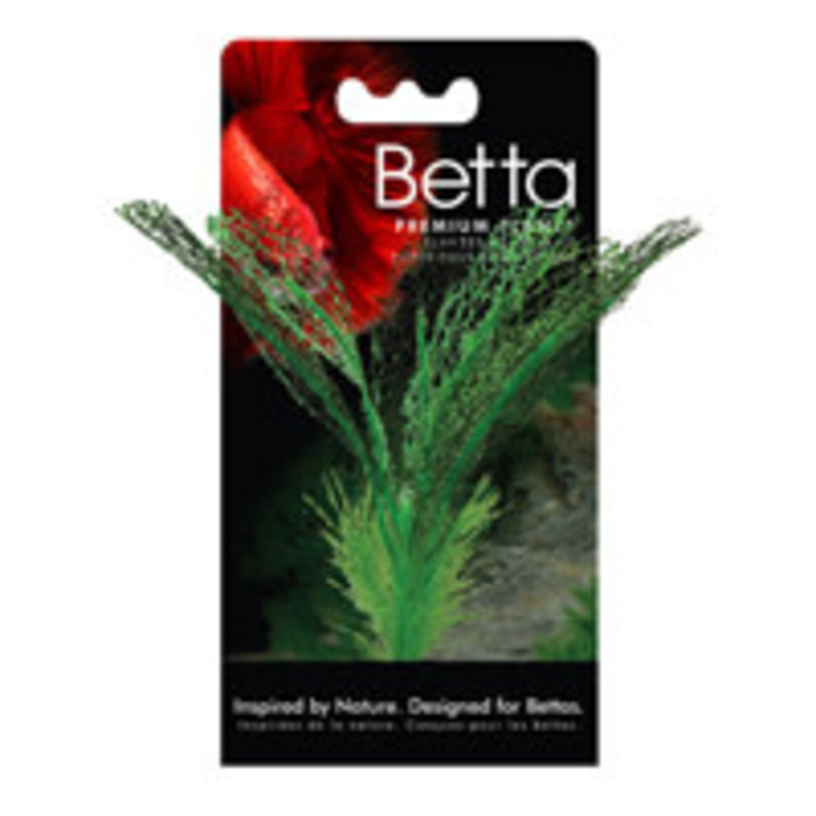 Fluval Fluval Betta Madagascar Lace Plant