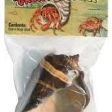 ZooMed Hermit Crab Grow Shell 1