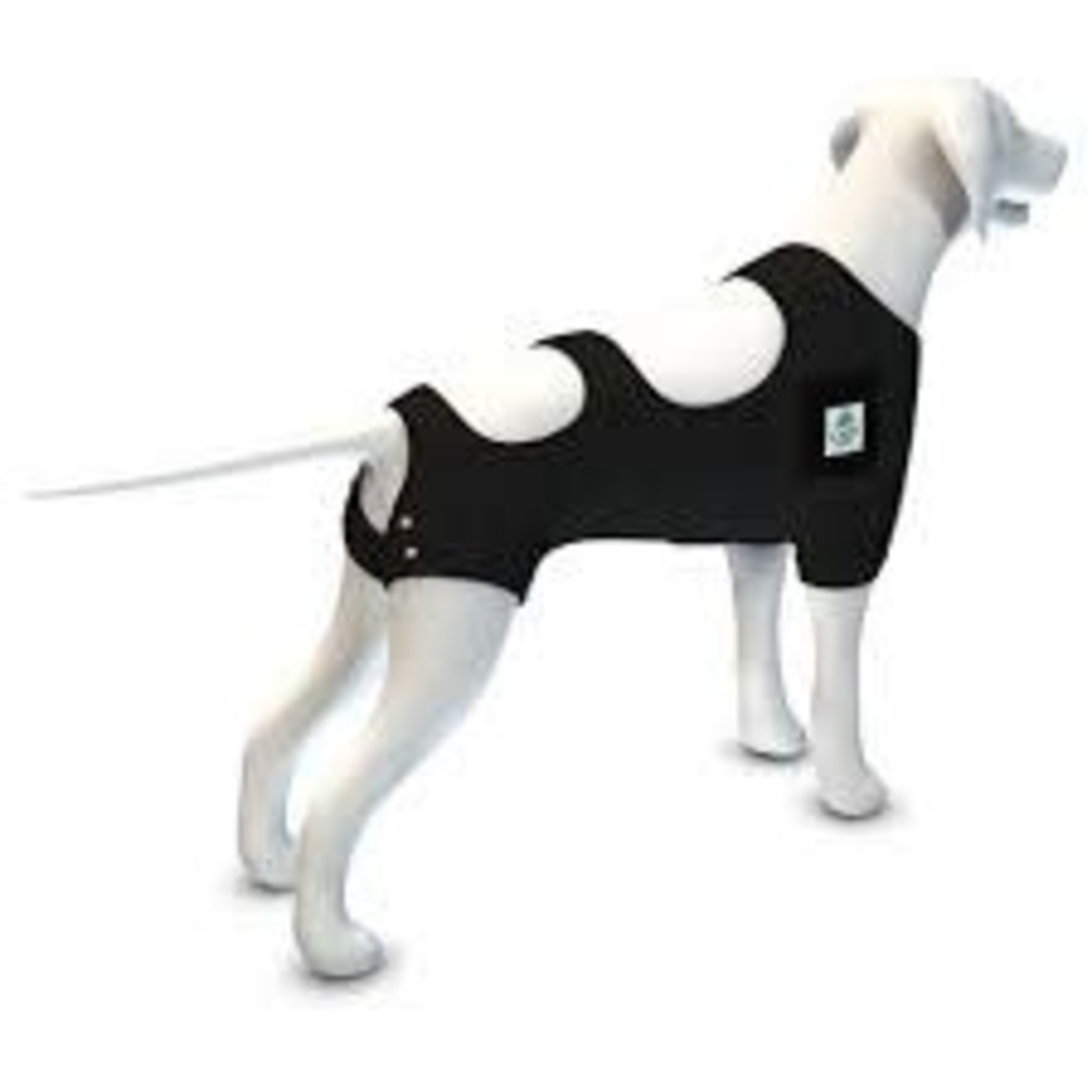 Acorn CALM PAWS CALMING RECOVERY VEST