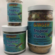 Ginger Flake Food Tropical 4.5oz