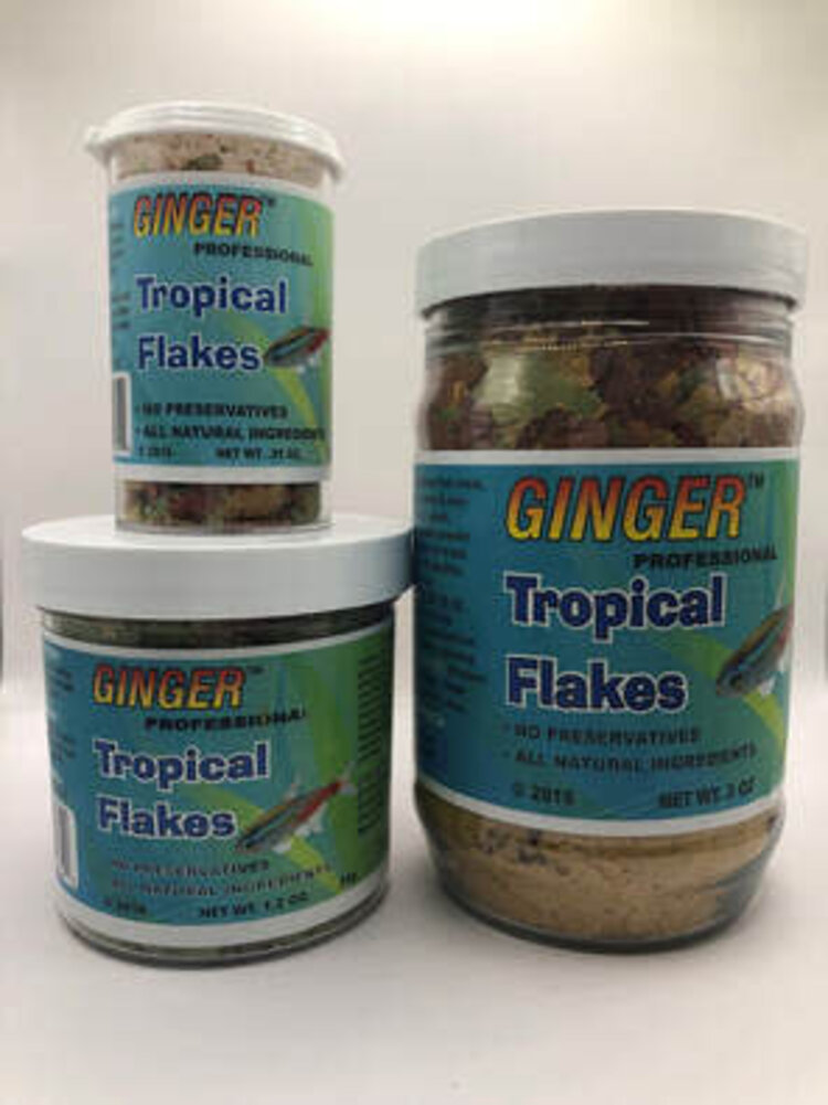Ginger Flake Food Tropical 4.5oz