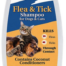 zodiac Zodiac Shampoo Z50 F/T 12oz