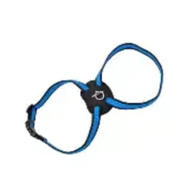 COASTAL PET PRODUCTS COASTAL Comfort Soft Harness & Lead 6' Blue / Cat
