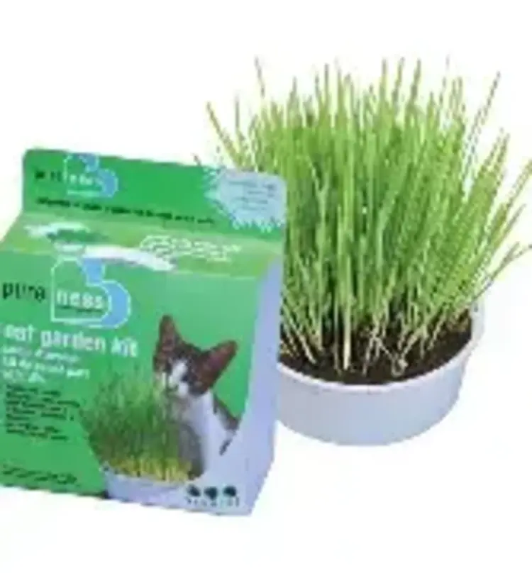 Van Ness VAN NESS OAT GARDEN KIT