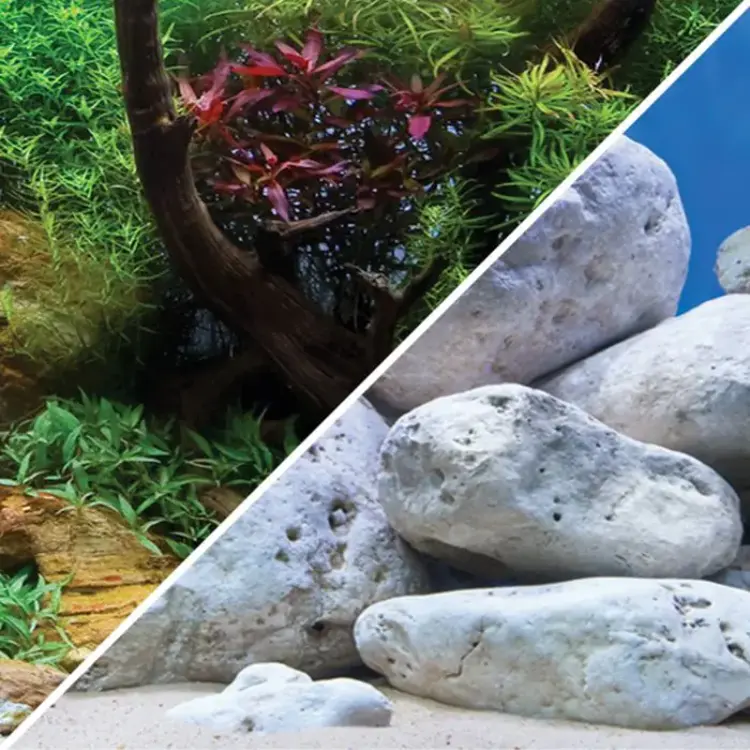 Marina Marina Seaview Background 24"high.  Aquatic Garden/Bright Stone. Per Inch