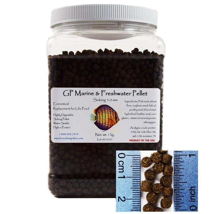 Ginger Pellets Brine Shrimp Sinkn 2.2