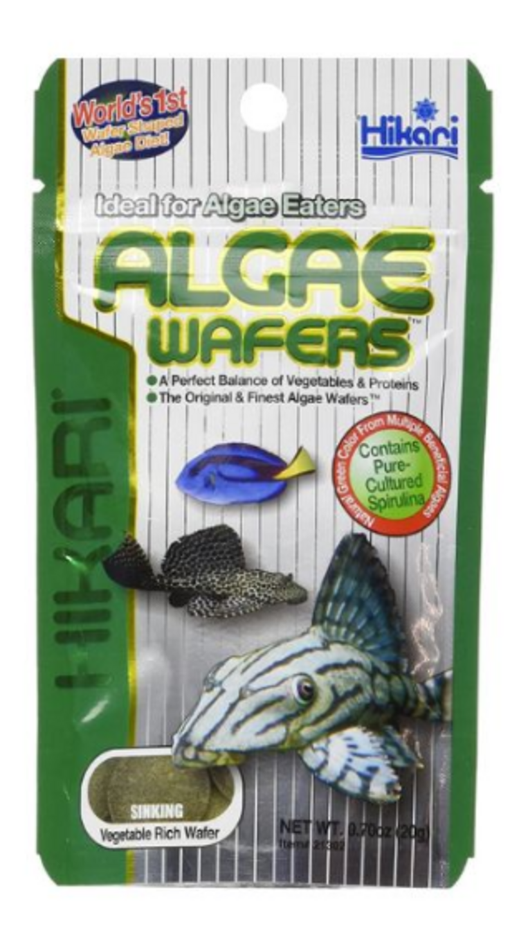Hikari HIK TROP ALGAE WAFER 82 GM