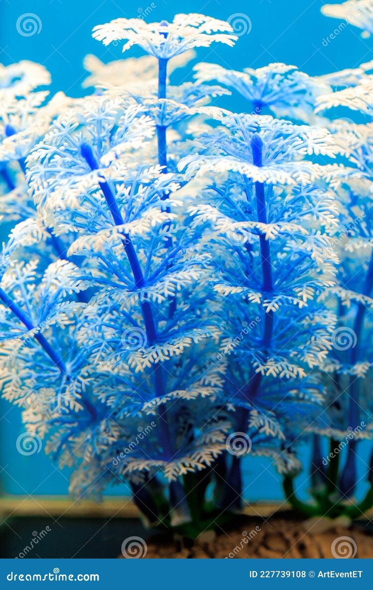 Marina HAG 12 HORNWORT BABY BLUE
